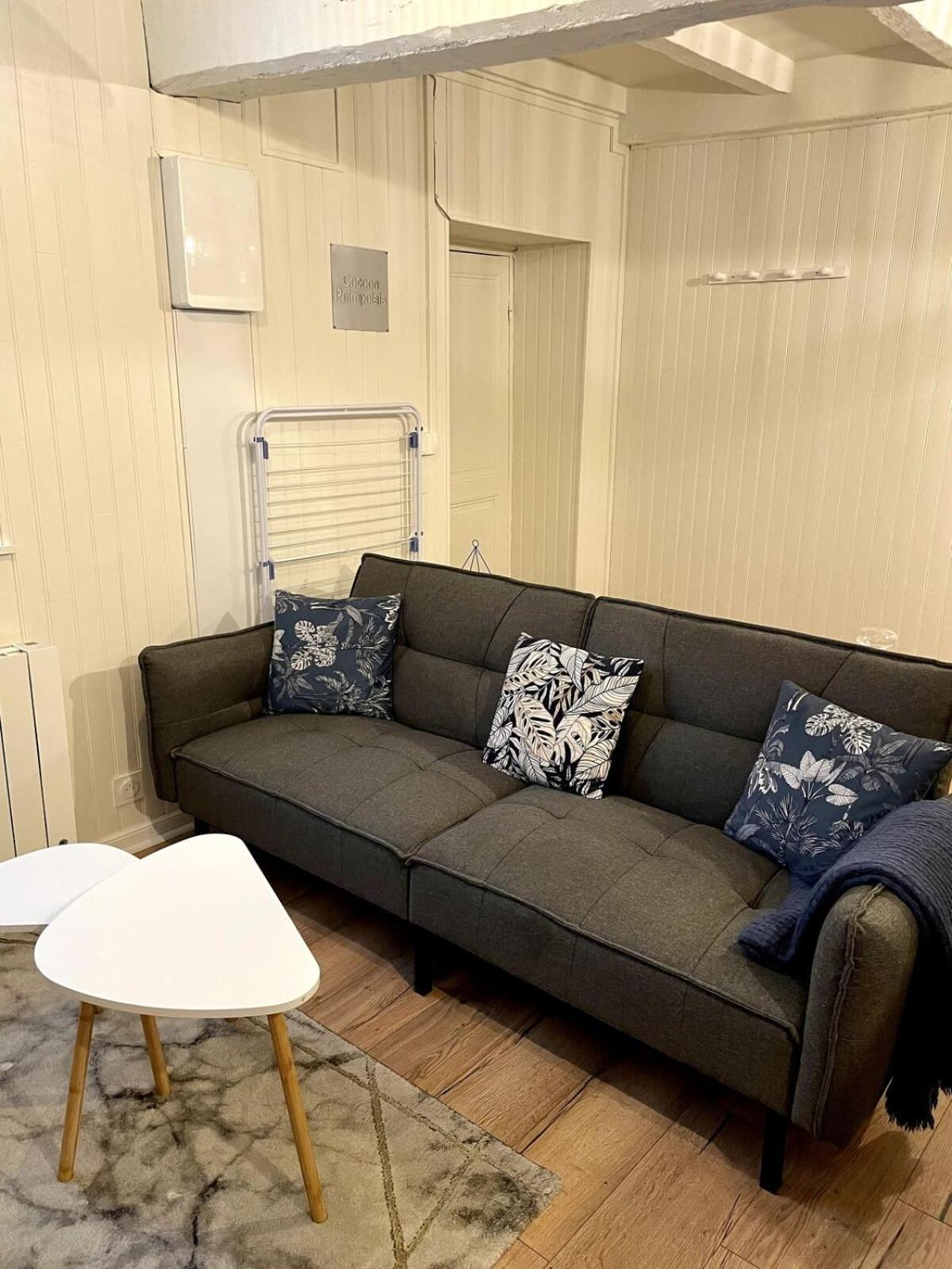 Apartment Magnifique T2 Coeur De Port A Pieds Paimpol